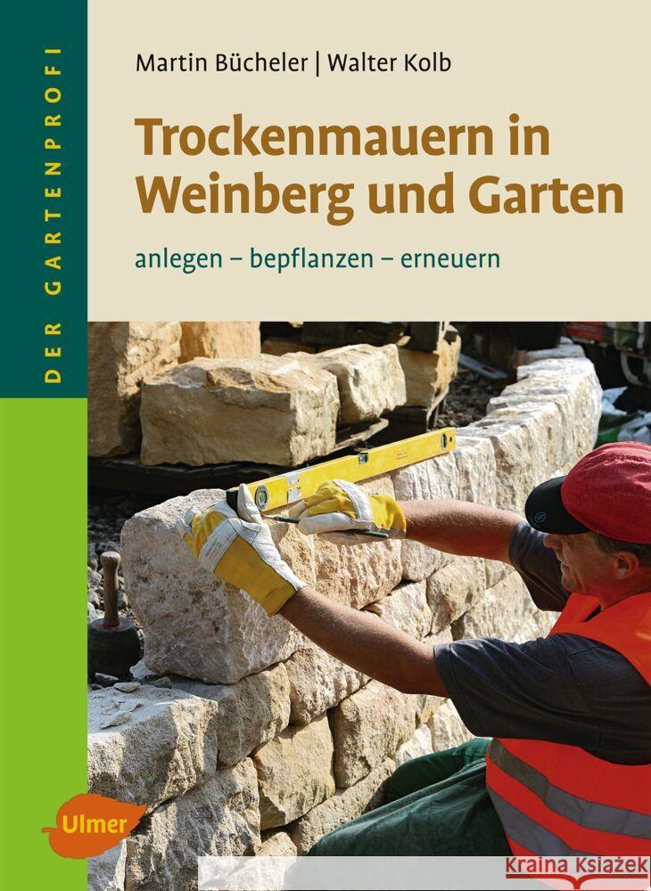 Trockenmauern in Weinberg und Garten : anlegen - bepflanzen - erneuern Bücheler, Martin; Kolb, Walter 9783800176007 Ulmer (Eugen) - książka