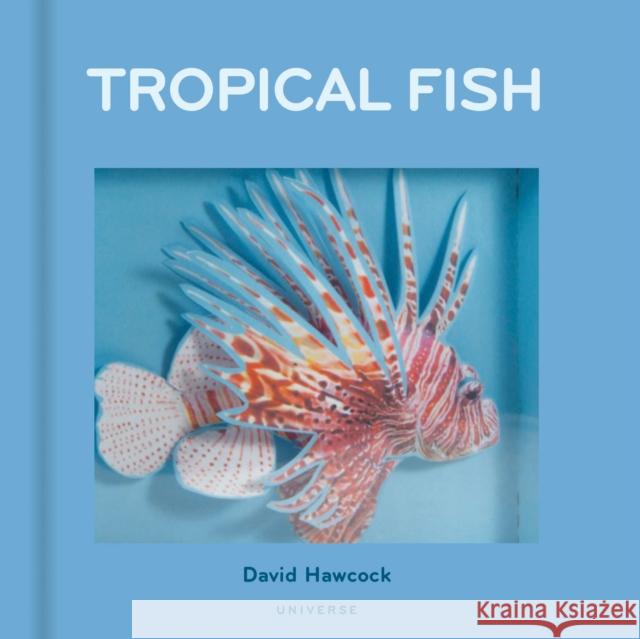 Tropical Fish: Pop-Up Hawcock, David 9780789335623 Rizzoli International Publications - książka