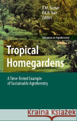 Tropical Homegardens: A Time-Tested Example of Sustainable Agroforestry Kumar, B. M. 9781402049477 Springer - książka