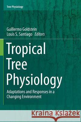 Tropical Tree Physiology: Adaptations and Responses in a Changing Environment Goldstein, Guillermo 9783319801384 Springer - książka