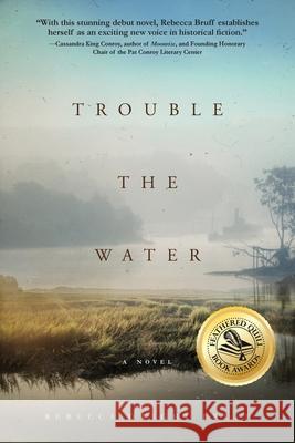 Trouble The Water Rebecca Dwight Bruff 9781633938076 Koehler Books - książka