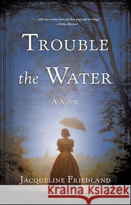 Trouble the Water Jacqueline Friedland 9781943006540 Sparkpress - książka