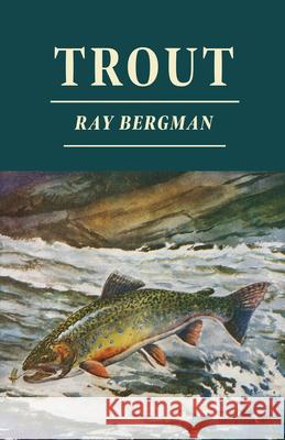 Trout Ray Bergman 9781446514108 Warren Press - książka