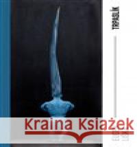 Trpaslík Eugen Liška 9788087688618 Milan Hodek - książka