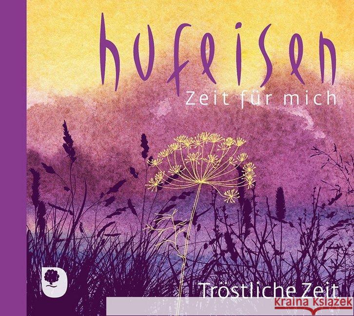 Tröstliche Zeit, 1 Audio-CD Hufeisen, Hans-Jürgen 4260593743357 Eschbach - książka