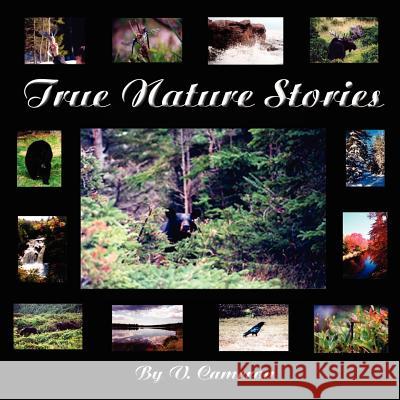 True Nature Stories V. Cameron 9781420891577 Authorhouse - książka