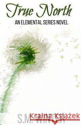 True North S. M. Winter Aimee E. Ratte 9781517061593 Createspace - książka