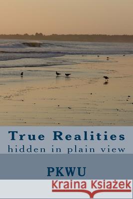True Realities: hidden in plain view Wu, P. K. 9781481200523 Createspace - książka