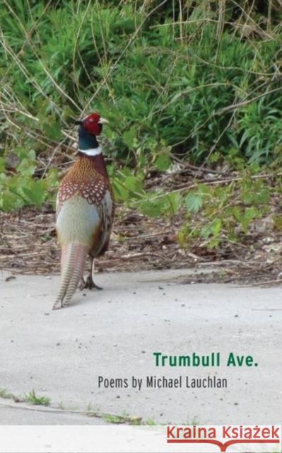 Trumbull Ave. Michael Lauchlan 9780814340967 Wayne State University Press - książka