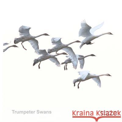 Trumpeter Swans Marian Brickner 9781986060578 Createspace Independent Publishing Platform - książka