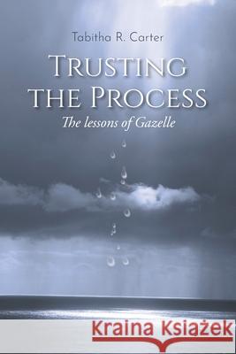 Trusting the Process: The Lessons of Gazelle Tabitha R Carter 9781098080129 Christian Faith - książka