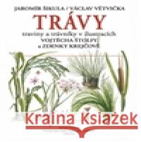 Trávy Václav Větvička 9788074420368 Aventinum - książka