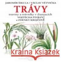 Trávy Václav Větvička 9788074421327 Aventinum - książka