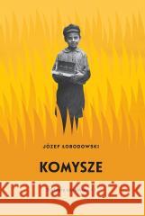Trylogia ukraińska T.1 Komysze Józef Łobodowski 9788367170925 Instytut Literatury - książka