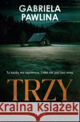Trzy Gabriela Pawlina 9788384026755 Filia - książka