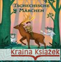 Tschechische Märchen /Plot/ Magdalena Wagnerová 9788074284854 Plot - książka