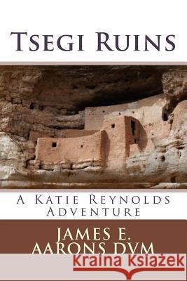 Tsegi Ruins: A Katie Reynolds Adventure James E. Aaron 9781536945355 Createspace Independent Publishing Platform - książka