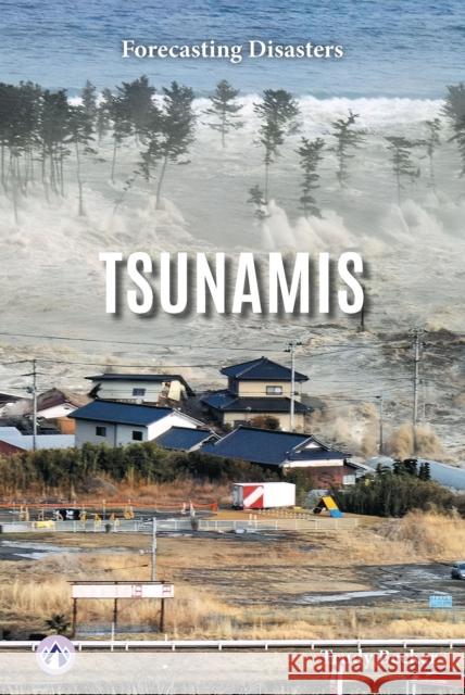 Tsunamis Trudy Becker 9798892506649 Apex - książka