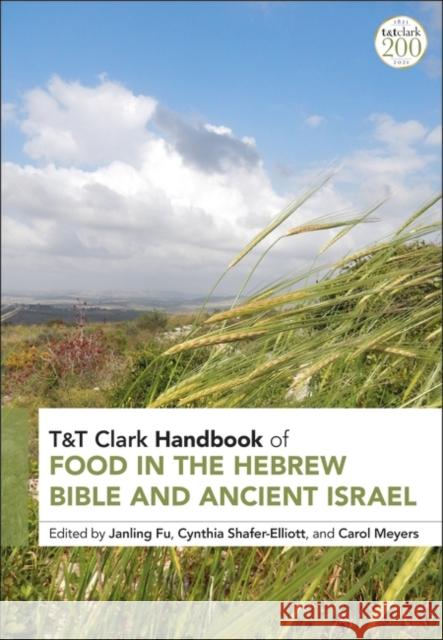 T&t Clark Handbook of Food in the Hebrew Bible and Ancient Israel Fu, Janling 9780567702913 Bloomsbury Publishing PLC - książka