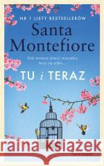 Tu i teraz Santa Montefiore 9788381396752 Świat Książki - książka