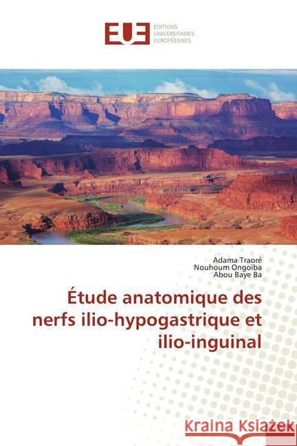 Étude anatomique des nerfs ilio-hypogastrique et ilio-inguinal Traore, Adama; Ongoïba, Nouhoum; Ba, Abou Baye 9786139511075 Éditions universitaires européennes - książka