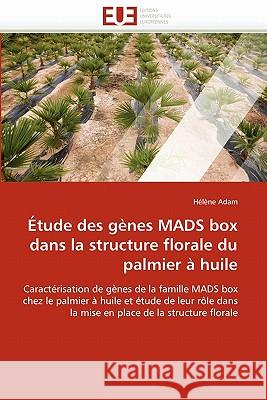 Étude Des Gènes Mads Box Dans La Structure Florale Du Palmier À Huile Adam-H 9786131553158 Editions Universitaires Europeennes - książka