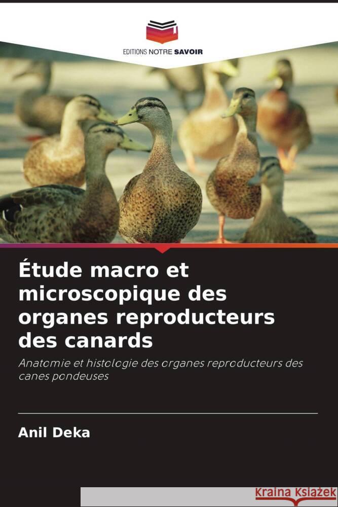 Étude macro et microscopique des organes reproducteurs des canards Deka, Anil 9786205088111 Editions Notre Savoir - książka