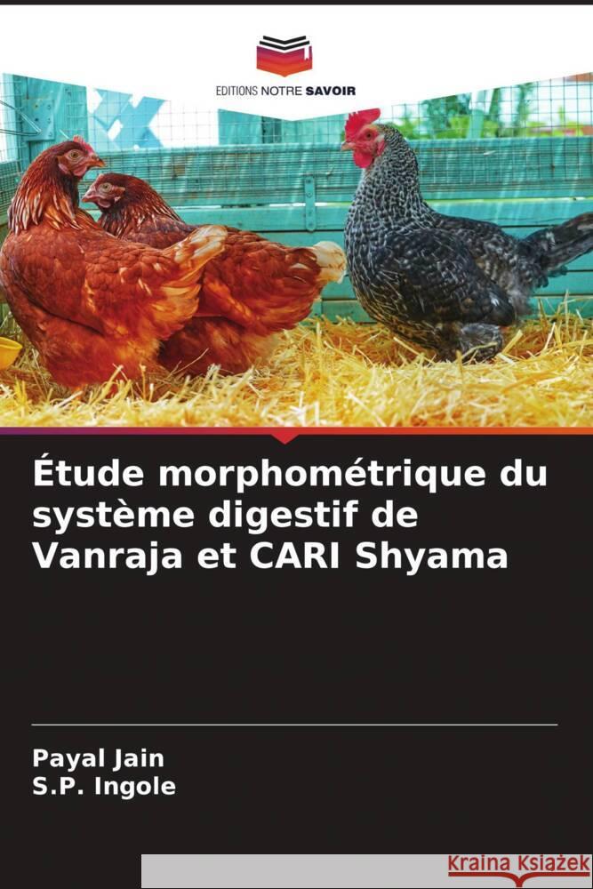 ?tude morphom?trique du syst?me digestif de Vanraja et CARI Shyama Payal Jain S. P. Ingole 9786206861331 Editions Notre Savoir - książka