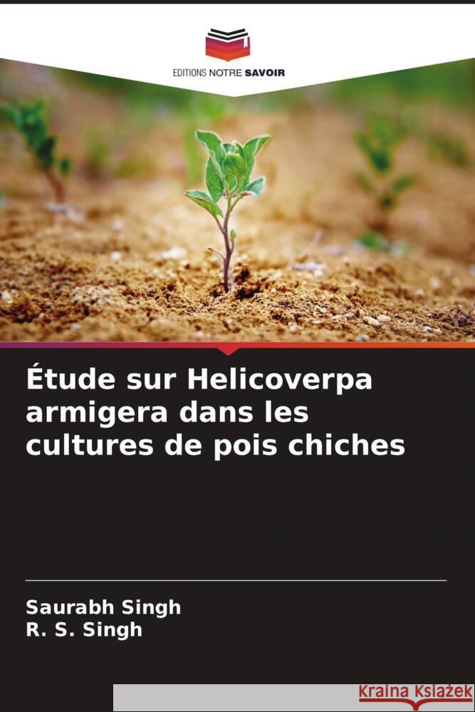 ?tude sur Helicoverpa armigera dans les cultures de pois chiches Saurabh Singh R. S. Singh 9786208579104 Editions Notre Savoir - książka