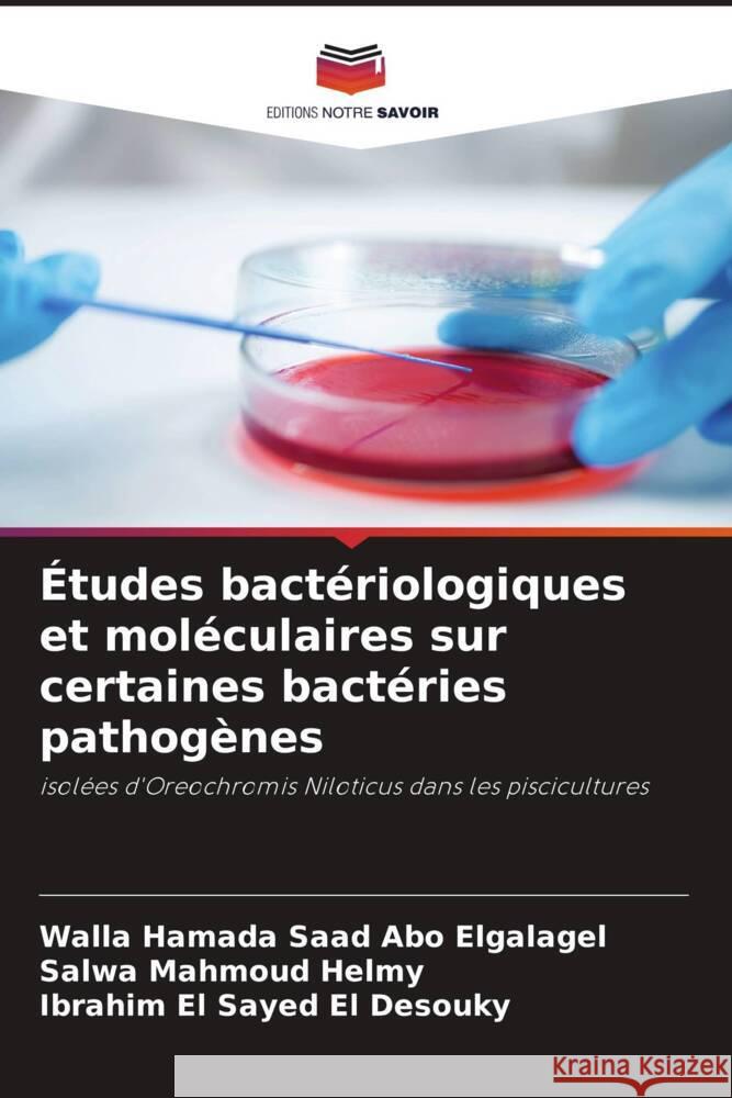 Études bactériologiques et moléculaires sur certaines bactéries pathogènes Abo Elgalagel, Walla Hamada Saad, Mahmoud Helmy, Salwa, El Sayed El Desouky, Ibrahim 9786208365523 Editions Notre Savoir - książka