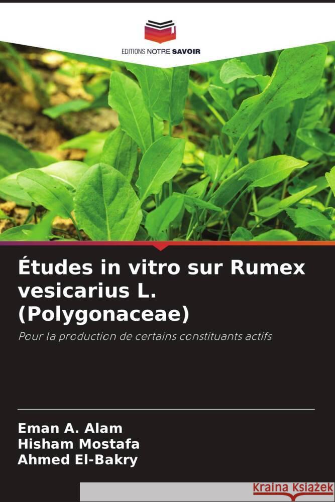 Études in vitro sur Rumex vesicarius L. (Polygonaceae) Alam, Eman A., Mostafa, Hisham, El-Bakry, Ahmed 9786206420057 Editions Notre Savoir - książka