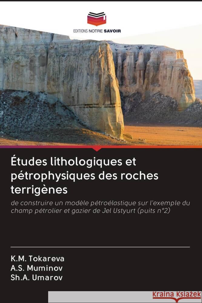 Études lithologiques et pétrophysiques des roches terrigènes Tokareva, K.M., Muminov, A.S., Umarov, Sh.A. 9786203067248 Editions Notre Savoir - książka