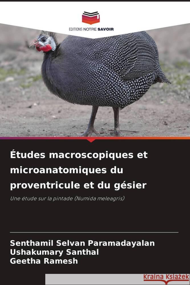 Études macroscopiques et microanatomiques du proventricule et du gésier Paramadayalan, Senthamil Selvan, Santhal, Ushakumary, Ramesh, Geetha 9786208304010 Editions Notre Savoir - książka