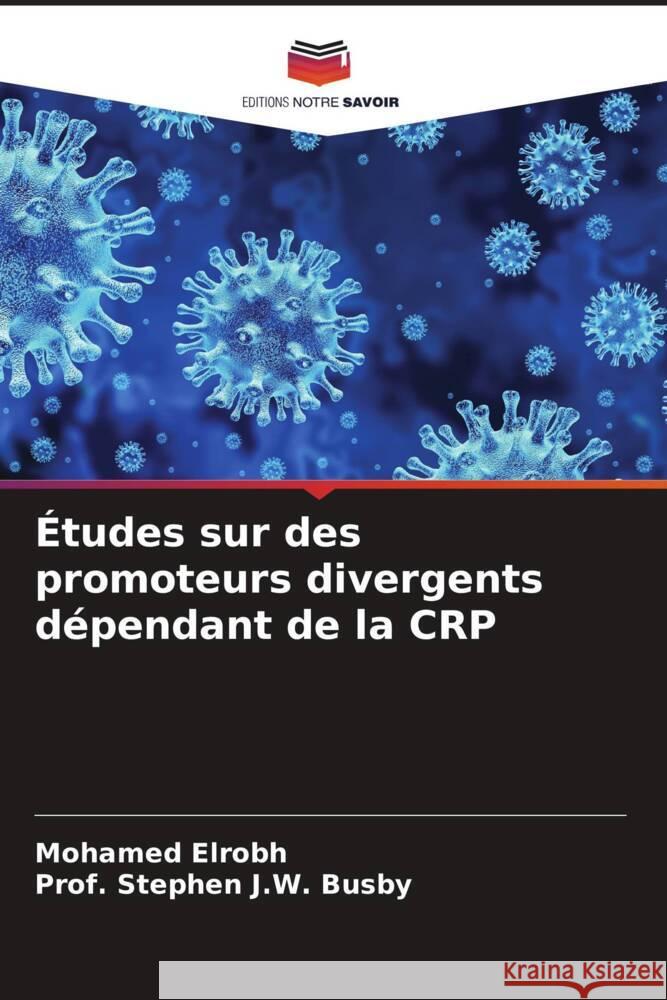 Études sur des promoteurs divergents dépendant de la CRP Elrobh, Mohamed, Busby,  Stephen J. W. 9786203479362 Editions Notre Savoir - książka