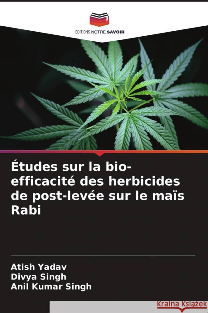 Études sur la bio-efficacité des herbicides de post-levée sur le maïs Rabi Yadav, Atish, Singh, Divya, Singh, Anil Kumar 9786208377007 Editions Notre Savoir - książka