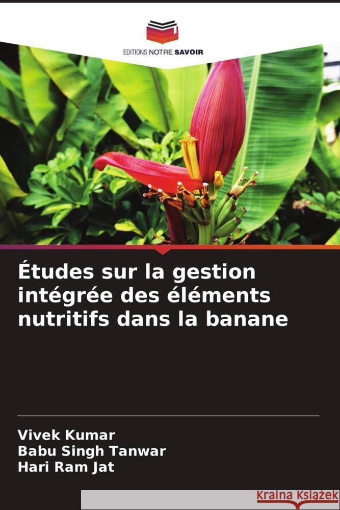 Études sur la gestion intégrée des éléments nutritifs dans la banane Kumar, Vivek, Tanwar, Babu Singh, Jat, Hari Ram 9786206619444 Editions Notre Savoir - książka