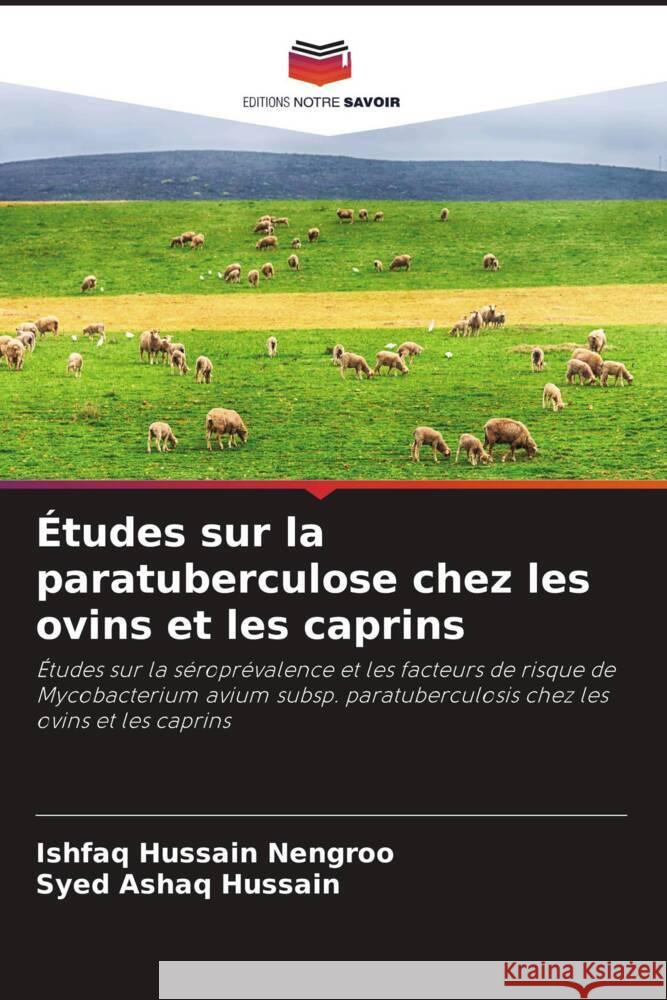 Études sur la paratuberculose chez les ovins et les caprins Nengroo, Ishfaq Hussain, Hussain, Syed Ashaq 9786208341800 Editions Notre Savoir - książka