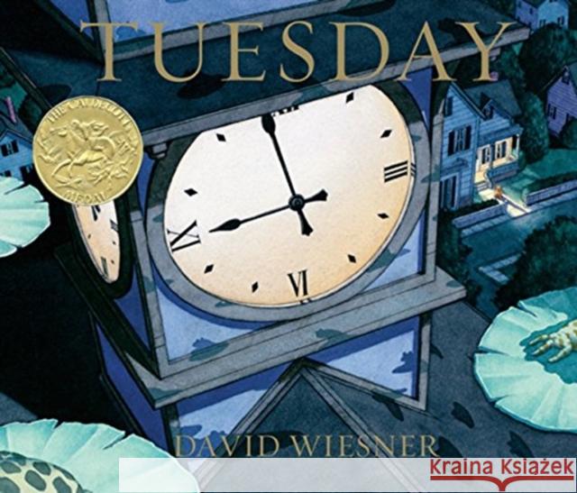 Tuesday David Wiesner Dorothy Briley 9780395551134 Houghton Mifflin - książka