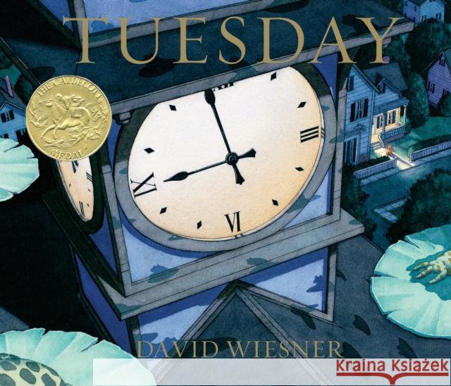 Tuesday Wiesner, David 9780395870822 Houghton Mifflin - książka