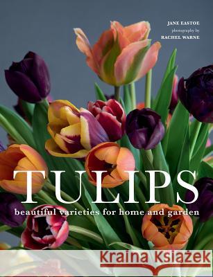 Tulips: Beautiful Varieties for Home and Garden Jane Eastoe Rachel Warne 9781423651291 Gibbs Smith - książka