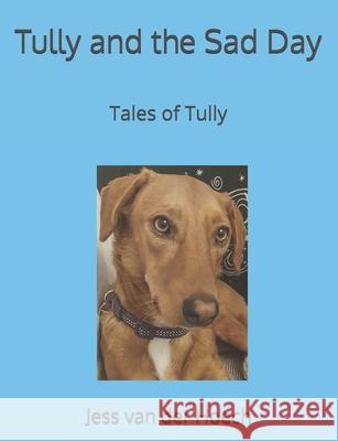 Tully and the Sad Day Jess Va 9781838198770 Jv Trauma Tools and Training - książka