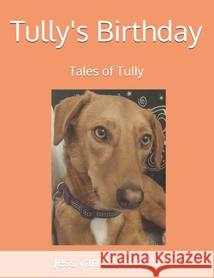 Tully's Birthday Jess Va 9781068691737 Jv Trauma Tools and Training - książka