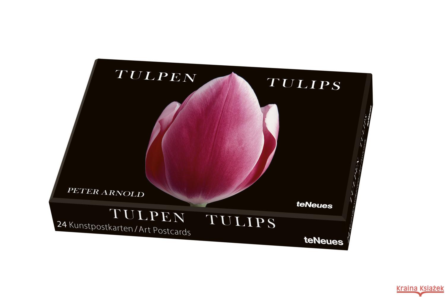 Tulpen, Kunstkartenbox Arnold, Peter 4260416451247 teNeues Verlag - książka