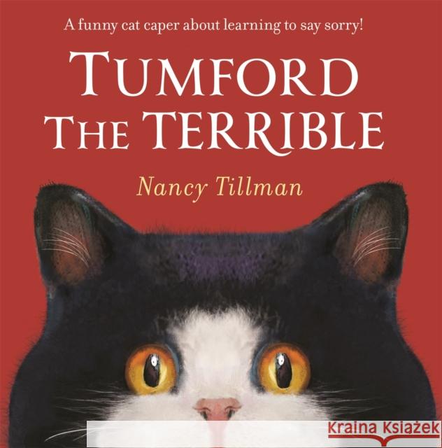 Tumford the Terrible: A funny cat caper about learning to say sorry! Nancy Tillman 9781035002948 Pan Macmillan - książka