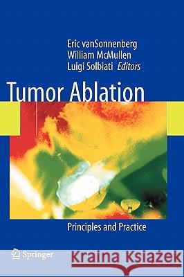 Tumor Ablation: Principles and Practice Van Sonnenberg, Eric 9780387955391 Springer - książka