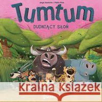 TumTum. Dudniący słoń Damiron Anya 9788381410199 Dwukropek - książka