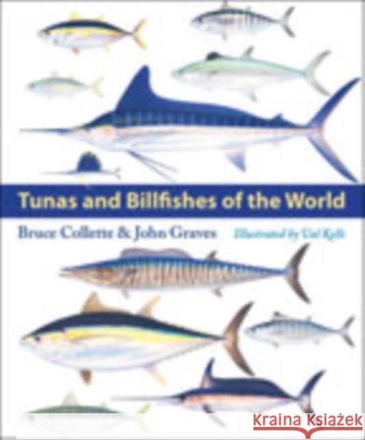 Tunas and Billfishes of the World Bruce Collette John Graves Valerie A. Kells 9781421431574 Johns Hopkins University Press - książka