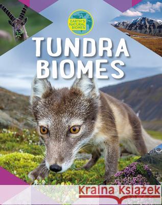 Tundra Biomes Louise Spilsbury 9780778741824 Crabtree Publishing Company - książka