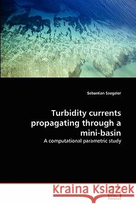 Turbidity currents propagating through a mini-basin Saegeler, Sebastian 9783639317671 VDM Verlag - książka