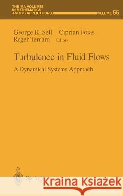 Turbulence in Fluid Flows: A Dynamical Systems Approach Sell, George R. 9780387941134 Springer - książka